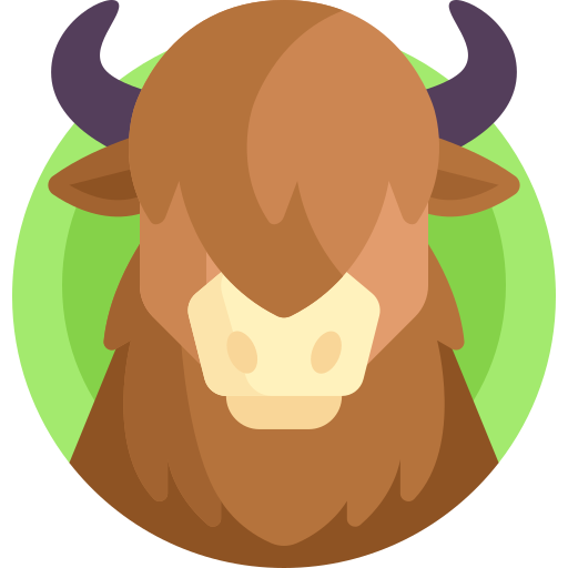 yak